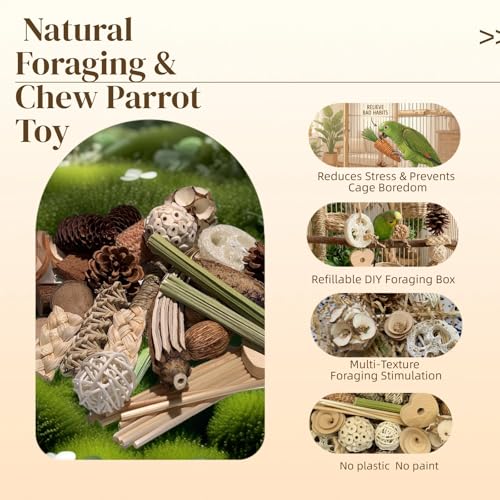 30PCS Natural Foraging & Chew Parrot Toys with Wooden Foraging Box | Natural Bird Toy Set for Parakeets, Cockatiels, Conures & Lovebirds, Encourages Chewing, Shredding & Foraging - size: X Large