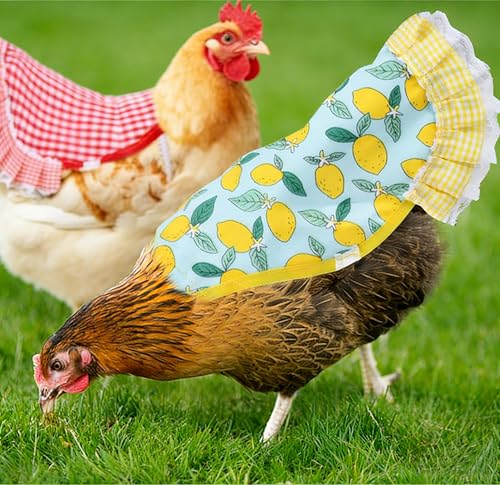 6Pcs Chicken Saddles Waterproof Hen Aprons Feather Protective Jackets with Elastic Straps Wing Back Protectors Chicken Hen Mating Saddle (Color Random)