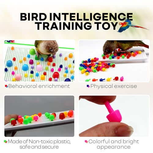 QBLEEV Parrot Puzzle Toys for Parakeets, Cockatiel & Conure - Bird Intelligence Training & Foraging Toys - size: Small