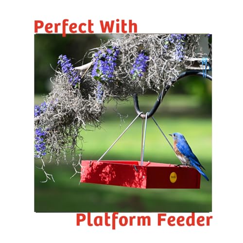 Birds Choice Peanut Butter No Melt Suet Cake | Rendered Beef Suet, Oats, Roasted Peanuts, Sunflower Oil, Corn | Premium Wild Bird Food for Year-Round Backyard Feeding | 11 oz (12-Pack) | Rendered Beef Suet with Oats, Roasted Peanuts, Sunflower Oil and Cor