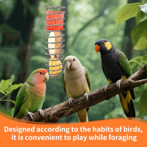2 Pack Small Bird Millet Spray Holder & Snack Feeder - Hanging Parrot Treat Stand with Cuttlebone & Mineral Block for Beak Exercise, Metal Cage Accessories for Small Parrots & Parakeets Gifts