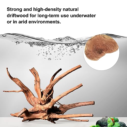 majoywoo Natural Driftwood for Aquarium Decor Fish Tank Decor Reptile Decor | Assorted Driftwood Branch, Natural Driftwood for Aquascaping and Reptile Decor - size: Spiderwood 7 to 11 Inch(Pack of 3)