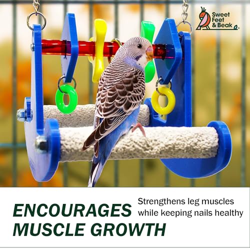 Sweet Feet and Beak Tweeter Totter Rocker, Two Perch Bird Swing, X-Small | Two Pedicure Perch Bird Toy, Made from Break Resistant Plastic, Hanging Toy for Play and Leg Activity, Available in 3 Colors - size: Extra Small