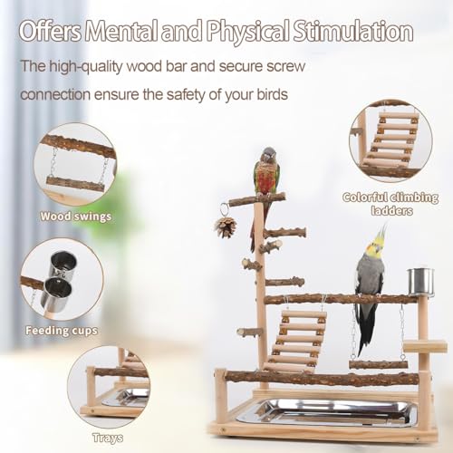 Natural Wooden Parrot Play Stand | Perch with Removable Tray, 2 Stainless Steel Cups & Swing | for Cockatiels, Budgies, Conures & Small Birds (2 Cup with Tray)