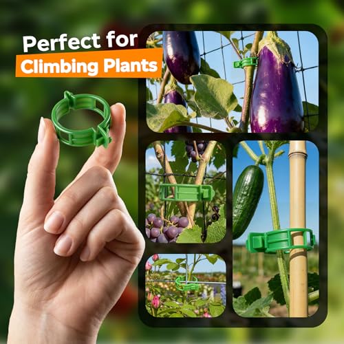 100Pcs Tomato Clips for Climbing Plants Trellis Plant Support Clips | Reusable Plastic Clips for Supporting Grape Tomato Vine and Vegetables Plants to Grow Upright Makes Plants Healthier (Green) - color: Green