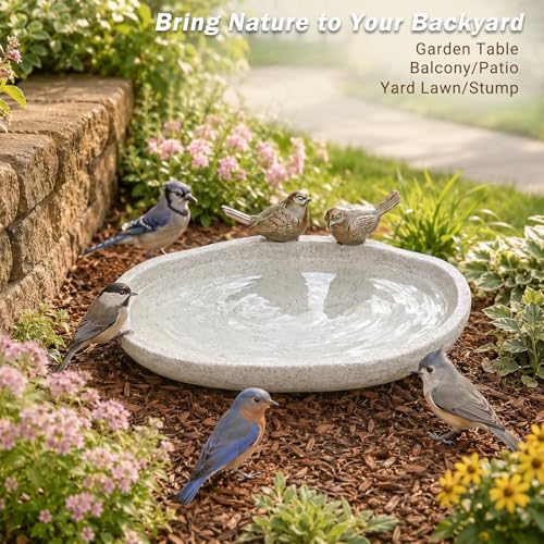 Bird Baths for Outdoor, Resin Garden Ground Birdbath Bowl Yard Decor | Antique Outdoor Garden Bird Baths with Vintage Bird Ornament, Tabletop Bowl Birdbaths Bird Feeder for Outside Yard Decor - color: White