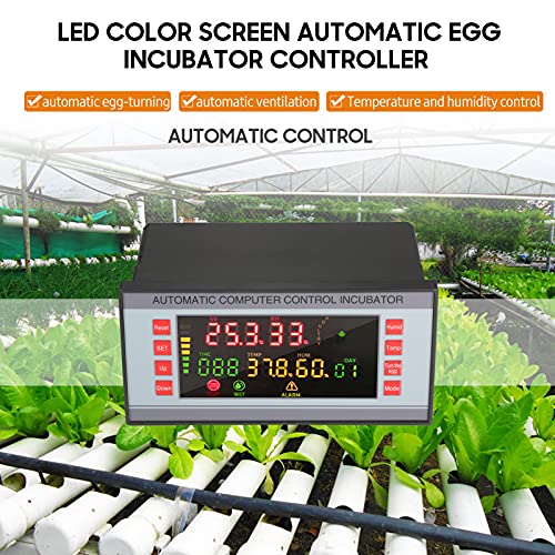 Automatic Egg Incubator 160V-220V 50Hz, Digital LED Display with Humidity Control & Auto Egg Turner for Chicken Duck Quail Eggs, Hatching Machine for Poultry Breeding