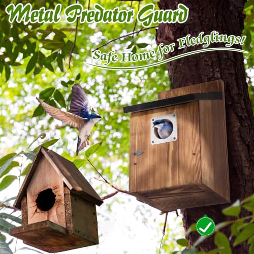 Dreyoo Bluebird Houses for Outside, 1-1/2” Entrance Hole Wooden Bird Houses for Outdoor with Metal Predator Guard, Secure Latch, Fledgling Grooves, Air Vents(Black Roof, Burnt Wood Body) - color: Black Roof, Burnt Wood Body