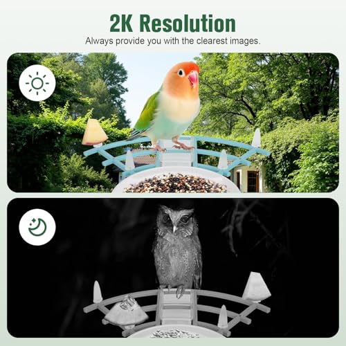 Bird Feeder with Camera, AI Identify Birds Species, Smart Bird Feeder with Camera Solar Powered, Auto 2K HD Video in Backyard, Ideal Gift for Family and Birds Lovers