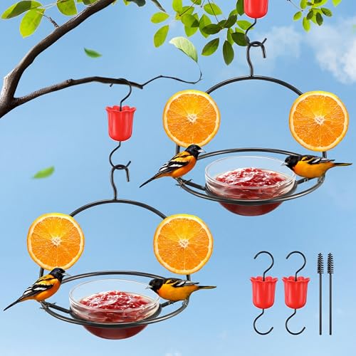 2 Pack Metal Oriole Feeders for Outdoors Hanging with Ant Moat and Fruit Holder, Oriole Feeder with Glass Bowl, Easy to Disassemble and Wash, Bird Feeder for Garden, Outdoor, Gift (Black)