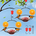 2 Pack Metal Oriole Feeders for Outdoors Hanging with Ant Moat and Fruit Holder, Oriole Feeder with Glass Bowl, Easy to Disassemble and Wash, Bird Feeder for Garden, Outdoor, Gift (Black)