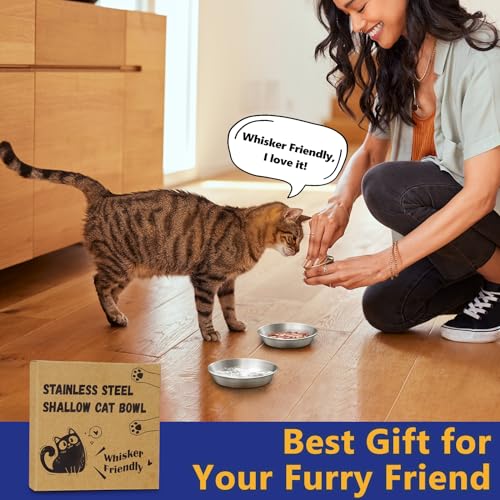 2-Pack 304 Stainless Steel Cat Food Bowls, Non-Slip Basic Dishes | Shallow Whisker-Friendly Silicone Water Metal Bowls, Easy to Clean Indoor Flat Plates for Cat, Kitten, Small Dog (5.9") - color: 2 PCS