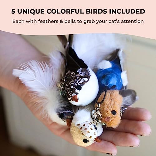 Whiskertons Interactive Bird Simulation Cat Toy Set, Interactive Cat Toys for Indoor Cats, Cat Feather Toy, Self-Holding Suction Base, 5 Replacement Birds, Feathers & Bells, Realistic Bird Impression