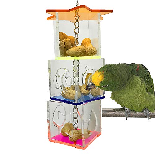Bird Foraging Toys,Creative Parrot Feeder Box,Hanging Treat Foraging Toy for Anchovies,Parakeets,Cockatiel,Conure,Mynah,Macow