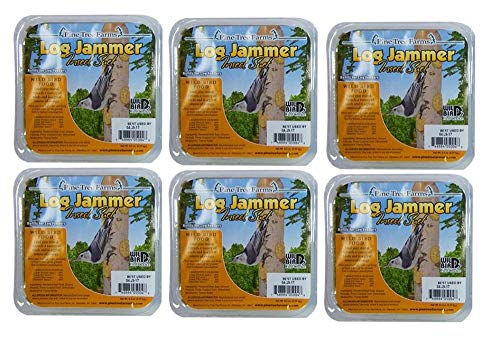 6 Pack of Log Jammer Insect Suet - size: 1 Count (Pack of 6)