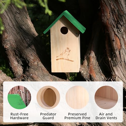 Wooden Bird Houses for Outside Hanging, Decorative Outdoor Clearence Birdhouse, Bird House, Cedar Bird House Outdoor, Bluebird Finch Swallow Wren Chickadee, Birdhouses for Outdoors, Bird Box