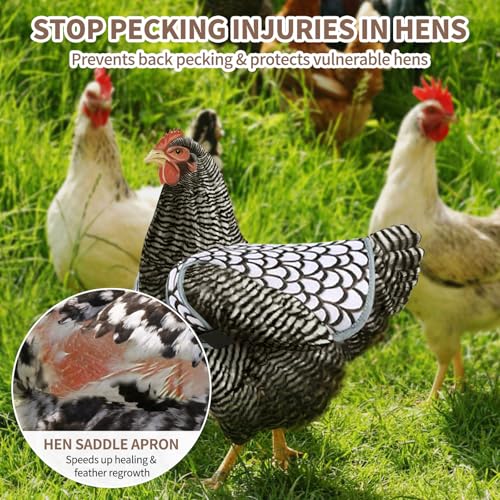 3-Pack Chicken Saddle for Hens, Back Protector Aprons | Adjustable strap design shields hen plumage during mating & flock activity, backyard poultry farm daily accessory