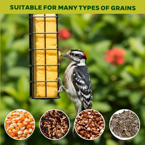 6 Pack Suet Bird Feeders, Outdoor Hanging Metal Cage for Wild Birds, Single Suet Cake Capacity, Garden and Yard Decor