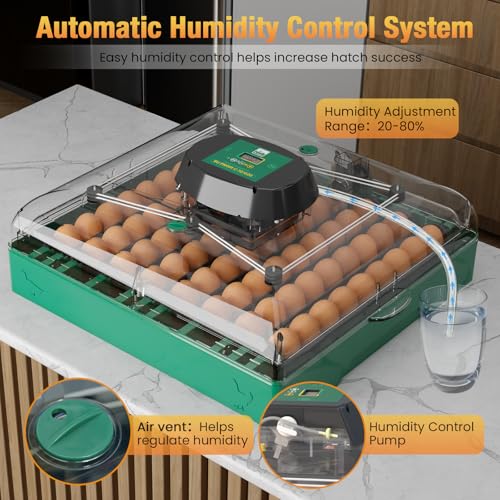 Egg Incubator for Chicken Eggs, Max 72 Egg Incubator with Auto Turner | Large capacity egg hatcher with humidity control, 360° clear view for chicken, duck, quail eggs, farms & classrooms