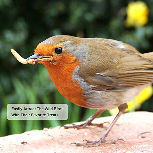 10lb Dried Mealworms for Chickens Duck High Protein Birds Treat | Hand Inspected Poultry Feed, Wild Birds and Chicken Treats, Laying Hens & Bluebirds Food, Worms Fed a Clean Natural Diet - size: 10 Pound (Pack of 1), style: Mealworms