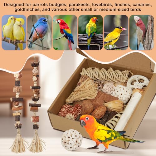 Bird Toys Parrot Natural Foraging Box Parakeet Toys DIY Hanging String for Cockatiels,Conures,Love Birds,and Other Small to Medium Birds Cage Accessories (Medium) - size: Medium