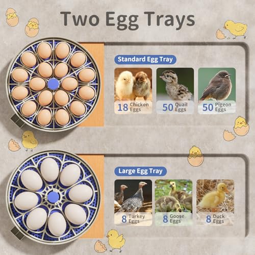 Egg Incubators for Hatching Eggs, 18 Chicken or 8 Large Eggs Incubator | Dual Egg Trays, Auto Egg Turning, Auto Water Refill, Turning Timer, Incubation Timer, 360° Viewing & Built-in Egg Candler - color: Blue, size: 18 Eggs