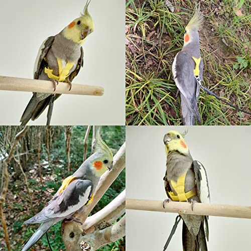 VANFAVORI Bird Harness with Buckle Clip, with 80-inch Leash,S Size, Yellow | Easy-to-wear Buckle Clip Design. For Birds Parrots Cockatiel (Weight 85-105 g). Kit Ideal for Outdoor Flying and Training