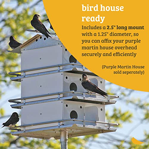 Birds Choice Premium Aluminum Purple Martin House – 8 Room, 2 Floor Birdhouse with Starling Resistant Entrance Holes, Ventilated Roof & Easy Cleaning, Unassembled | Starling Resistant Entrance Holes, Ventilated Roof, Easy Access for Cleaning, Ships Unasse