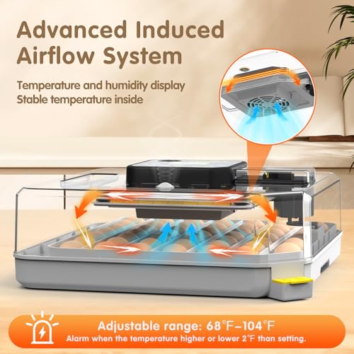 Incubators for Hatching Eggs Egg Incubator for Lab Home Farm with Automatic Egg Turning for Chicken, Ducks, Goose, Quail 48 Eggs - size: 48 eggs
