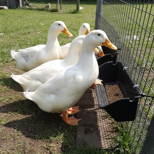 4-Pack 5 Qt Hanging Goat Feeders and Mineral Troughs for Fences | Thick plastic with mounting clips, zip ties and screws; for grain, grit and minerals; suitable for sheep, ducks and chickens - color: 4 Pack