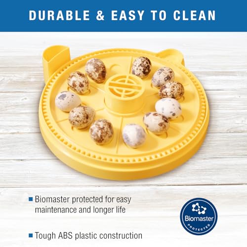 Brinsea Egg Quadrant Insert for Mini Advance Incubators Fits 12 Eggs, Small | Authentic Brinsea parts specifically designed for Mini Advance enables incubator to hold up to 12 pheasant or quail-size eggs - size: Fits 12 Eggs, style: Mini Advance