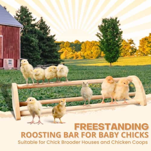 TonGass 16" Extra Long Chicken Perch, Durable Polished Bamboo Roosting Bar | Freestanding Roosting Bar for Baby Chicks with Built-in Mirrors for Entertainment, 15 3/4 x 6 5/8 x 3 1/2"