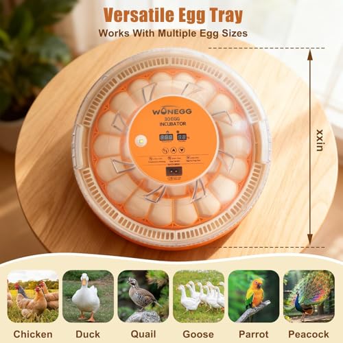 Gen IV - 30 Egg Incubator, Wide-Range Humidity with Manual Water Fill, Stable Temp Control, Dual-Size Egg Slots, Auto Egg Turning, Candler, Real-Time Display for Hatching Poultry Eggs - size: 30 egg-white