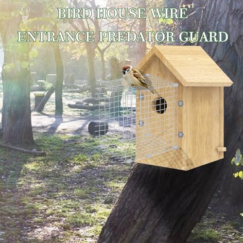 Bluebird House Predator Guards 2 Pack Metal Wire Entrance Hole Protector Bird House Hole Protector Bird House Wire Entrance Guard for Blue Bird Nesting & Babies Safe (Square)