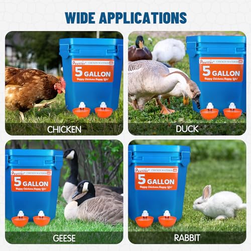 12 Pack Large Automatic Chicken Waterer Cups | Chicken Water Feeder | Poultry Water Feeder Kit | Tee Fittings Poultry Feeder Cups for Chicks, Duck, Turkey, Goose