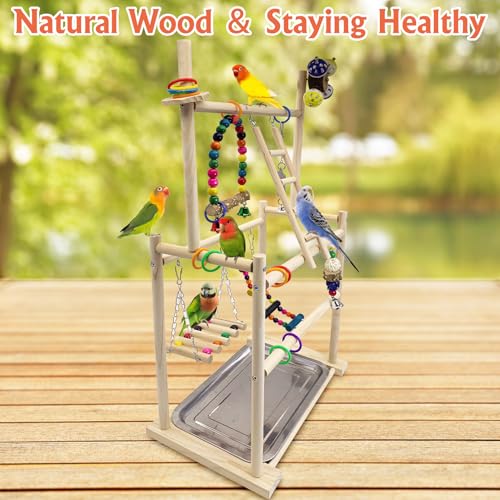 Hamiledyi Natural Wood Bird Playground - Large 3-Tier Perch Stand with Exercise Platforms Durable Activity Gym for Parrots, Cockatiels and Small Birds Bird Stand with Ladders and Swings