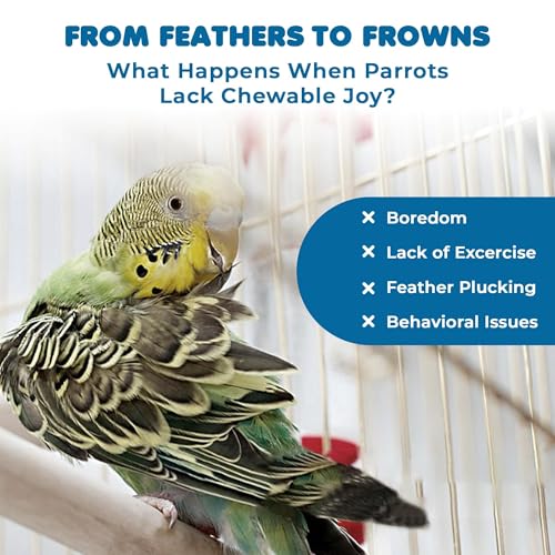 SunGrow Parrot Toy – Bird Foraging & Chew Toy with Wooden Blocks and Cotton Rope, Hanging Cage Accessory for Conures, Budgies, Parakeets & Other Small Birds