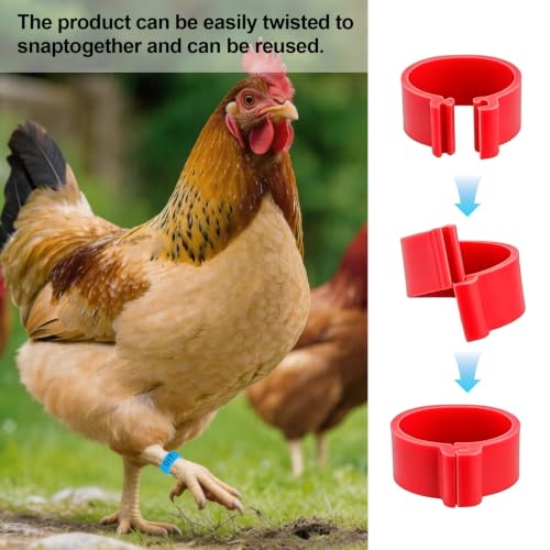 100PCS Numbered Chicken Leg Bands, 0.63" Snap-On Poultry ID Rings