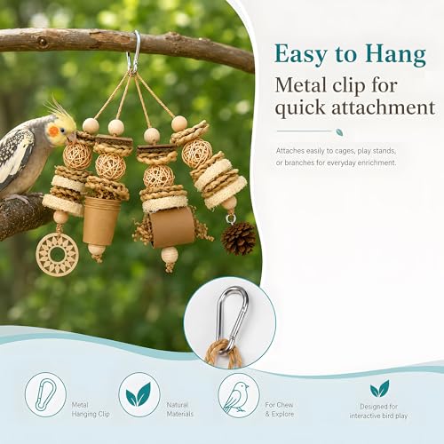 Parakeet Foraging Toy with Loofah & Pine Cone, Bird Chew Toy | For Budgies, Cockatiels, Conures and Quaker Parrots | Multiple Textures for Pecking, Shredding and Active Cage Play