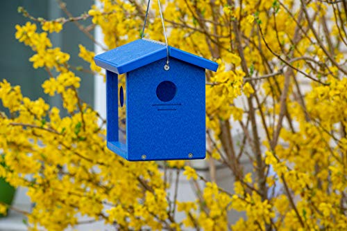 Recycled Bluebird Mealworm Feeder Hang or Mount (Blue, Blue) | Hang or Mount - color: Blue, Blue