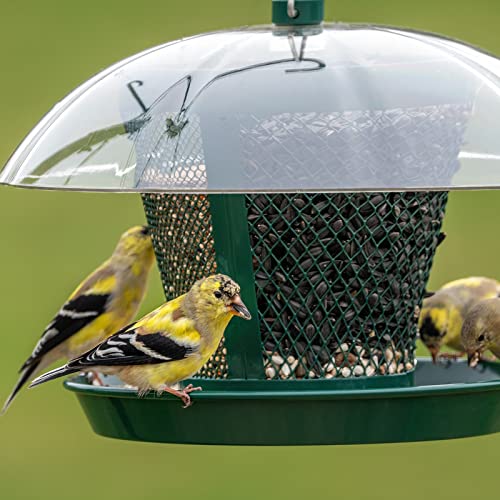 Kingsyard Rain-Resistant Metal Mesh Bird Feeder for Outdoor Hanging | Large Clear Dome, Top-Fill Design, Weather-Resistant Metal, Dual Mesh for Different Seeds, Easy to Clean - color: Green
