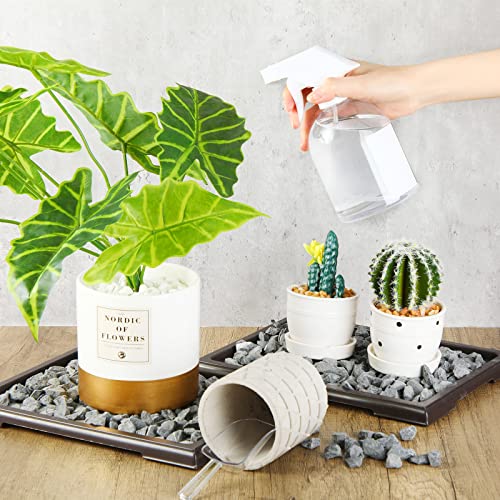 Pinkunn 6 Pcs Bonsai Humidity Tray for Indoors and Outdoor Rectangular Drip | 11 x 8 Inch,bonsai tray,bonsai pots for Bonsai Succulents Cactus, Plastic material, Catches Water, Stone Not Included - size: 11 x 8 Inch