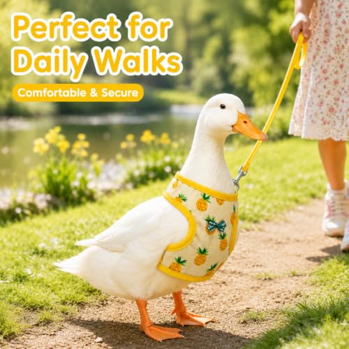 Frienda 2 Pcs Adjustable Chicken Harness and Leash Set Spring Summer Comfortable Elastic Hen Vest Breathable Harness for Hens Duck Goose Pet Training Walking Supplies(Pineapple, Strawberry,Medium) - size: Medium