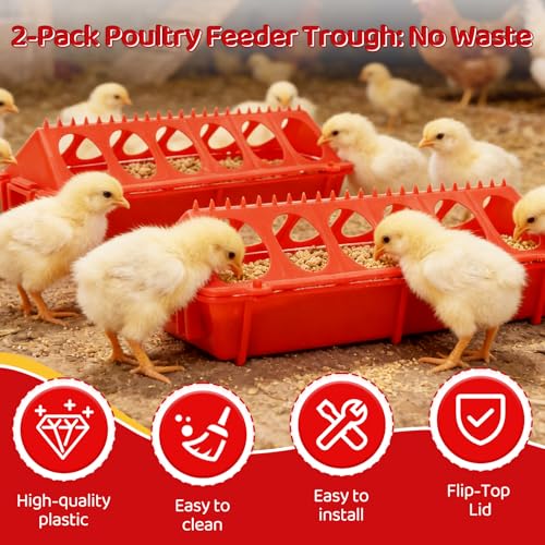 2 Pack Flip Top Chick Feeder Trough 12 Holes Holes No Waste Spill Proof