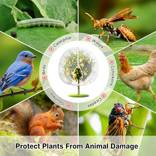 4PCS 4.6Ft × 5.9Ft Fruit Tree Netting with Zipper and Drawstring, 60 Mesh Thickened Garden Bird Netting for Blueberry Bushes, Fruits, Vegetables, Insect Bird Barrier Mesh Protective Cover - size: 4.6Ft × 5.9Ft