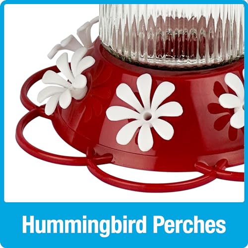 Nature's Way Hanging Glass Hummingbird Feeder for Outdoor Décor, 28 Ounce Capacity Nectar Feeder, Ant Moat, 7 Easy to Clean Flexible Ports, Red - style: 28 Ounce Capacity