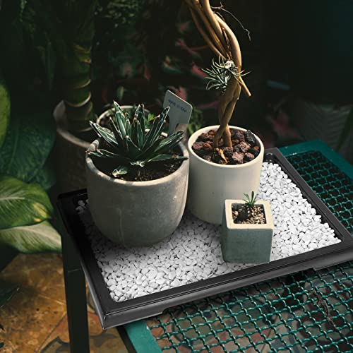 Pinkunn 6 Pcs Bonsai Humidity Tray for Indoors and Outdoor Rectangular Drip | 11 x 8 Inch,bonsai tray,bonsai pots for Bonsai Succulents Cactus, Plastic material, Catches Water, Stone Not Included - size: 11 x 8 Inch