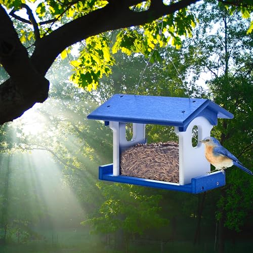 Poly Bluebird Feeder Durable Hanging Weather-Resistant Mealworm and Wild Bird Feeder Outdoor Feeder for Blue Birds Easy Fill-Clean Design Handcrafted in the USA (Blue-White) - color: Blue-White