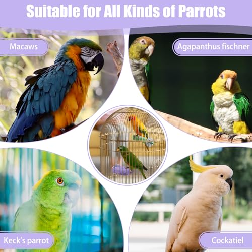 Bird Beak Grinding Stone 2 Pcs Bird Parrot Cage Perch Stand Platform Foot Claws Trimmer Chewing Toys for Small Medium Birds Cage Accessories for Budgies Cockatiels Conures