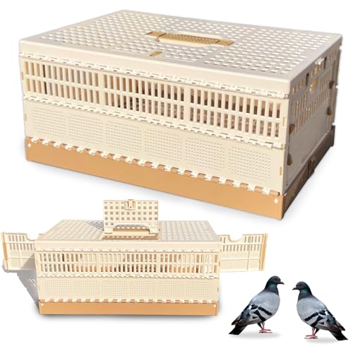 Folding Pigeon Cage Racing Pigeons Travel Cage Pairing Cage Plastic Three Doors Nest Box for Training and Release, Competition(L) - size: L